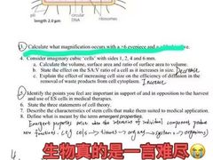 -JT PREP国际学科课程·IB·AP·Alevel(陆家嘴校区)