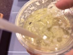 -星巴克(上海虹桥新天地二店)