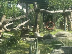-武汉动物园