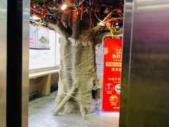 -顺德芦塘冬瓜盅·火锅烧烤(启东店)