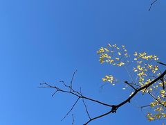 -米二红烧兔(华阳店)