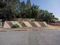-上海滨江森林公园