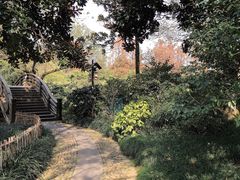 -浙江宾馆·花园餐厅·自助餐厅·茶吧