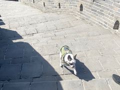 -中粮·祥云小镇