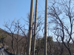 -小田乌鱼排(济宁总店)