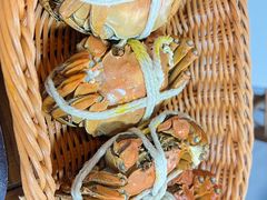 -蟹村草堂·苏式园林人文农家·大闸蟹