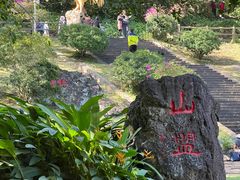-海口火山口国家地质公园