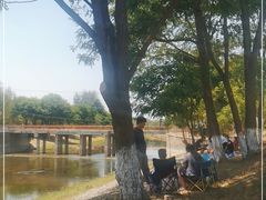 -东坝千亩湖公园