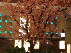 android_upload_pic-宁波曙光丽亭酒店(骆驼桥地铁站店)