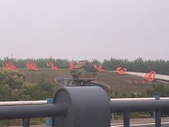 -合肥滨湖国家森林公园