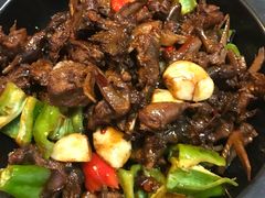-龙小海荆沙鸽子店(瑞安街店)