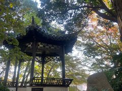 -水绘园