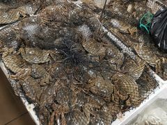 -鑫朱雀农贸批发市场