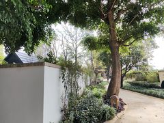-抚仙湖万达文华酒店