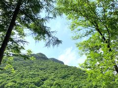 -龙道沟景区