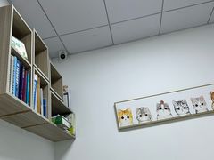 -嘉馨宠物医院·CT影像转诊·心脏科·犬猫全科诊疗中心(下沙大学城院区)