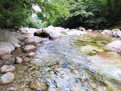 -青峰峡国家森林公园