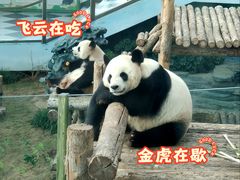 -大连森林动物园