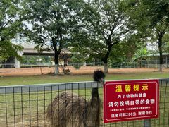 -秀丽东方