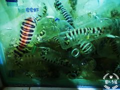 -海盗餐厅