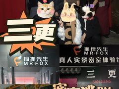 -Mr.Fox狐狸先生超级密室(南山店)