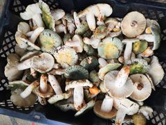 -双喜农庄·菌香园(安居家园店)