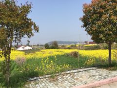 iphone_upload_pic-蛇蟠岛