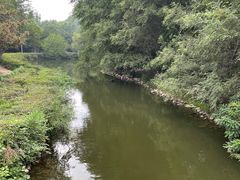 -长白岛森林公园