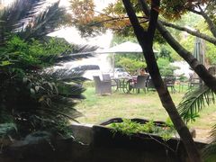 -大可堂普洱茶馆(襄阳南路馆)