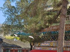 -潭柘寺景区
