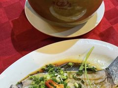 -先鲜鲫鱼粥