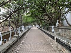 -烟台山景区
