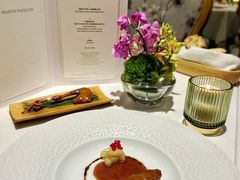 -蝶舍·MAISON PAPILLON