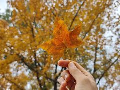 -白塘生态植物园