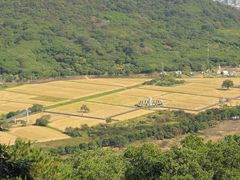 -风云岭森林公园