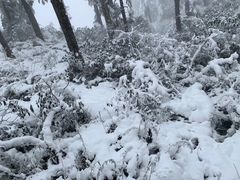 -瓦屋山景区