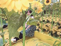 -天津梵高星空艺术馆(天河城旗舰店)