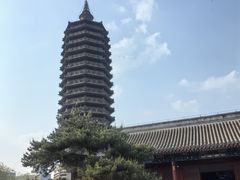 -西海子公园