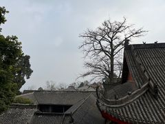 -金堂县云顶石城风景区