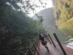 -苗人谷