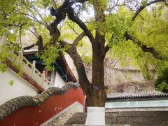 -千佛山风景名胜区