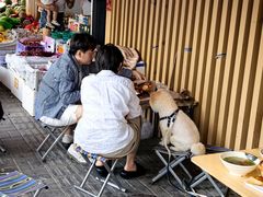 -清真老刘蒸饺