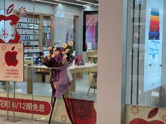 -Apple零售店(成都太古里店)