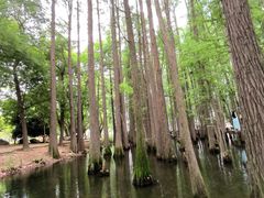 -东湖落雁景区