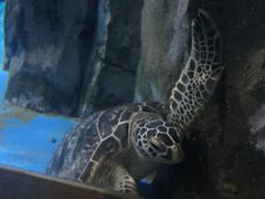 -常州海昌海洋探索馆
