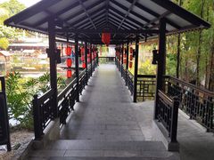 -侨美·唐荔园·40年地道粤菜