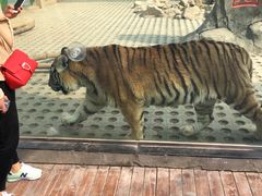 -西安秦岭野生动物园