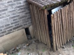 -林栖谷森林康养度假区