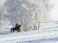 -塞罕坝国家级自然保护区