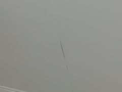 -苏州金鸡湖大酒店